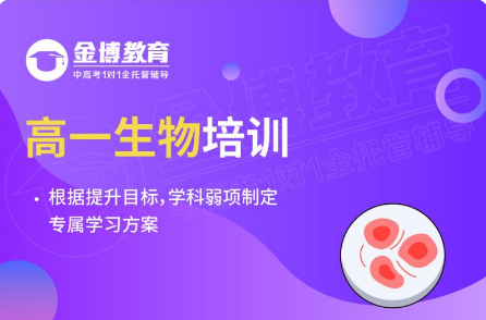 北京金博高德教育科技有限公司